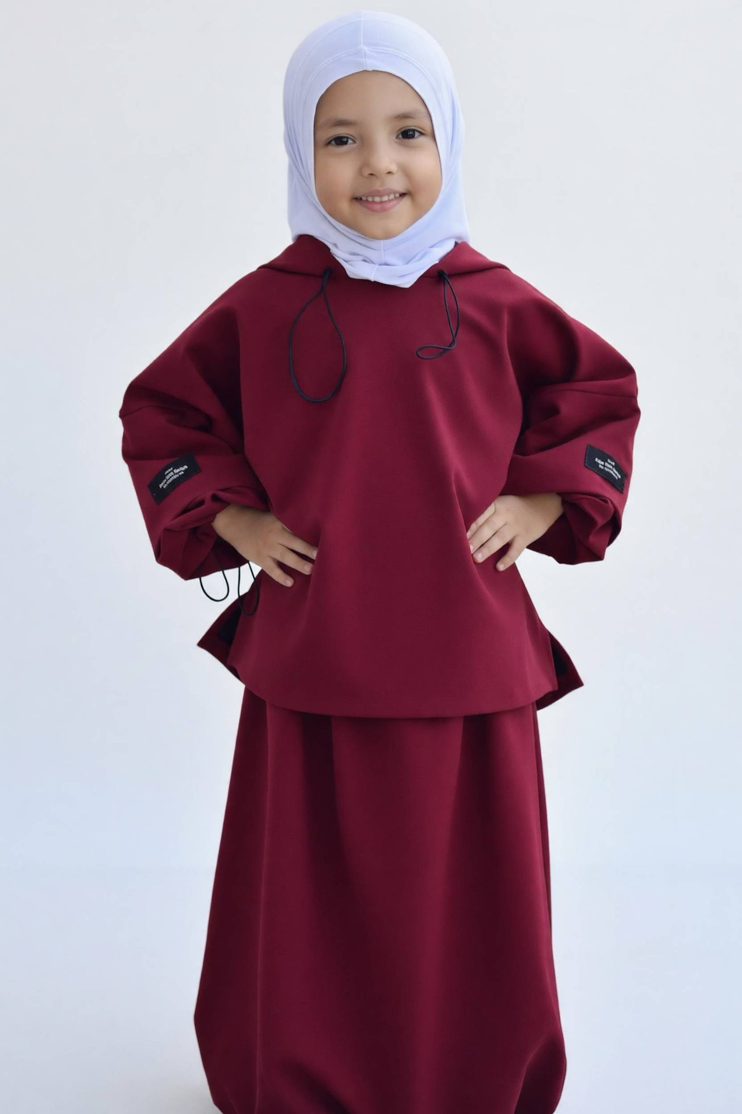 Ensemble Hamsa